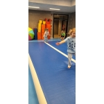 Sportdag