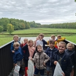 Naar het bos