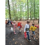 Naar het bos