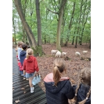 Naar het bos