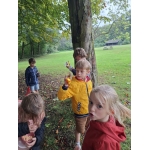 Naar het bos