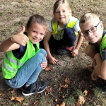 Naar het bos 1ste graad