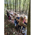 Het bos 🍁