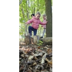 Het bos 🍁