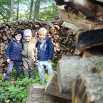Het bos 🍁