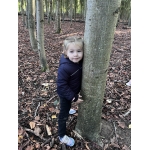 Het bos 🍁