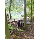 Het bos 🍁