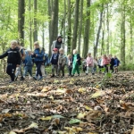 Het bos 🍁
