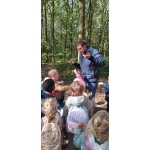 Het bos 🍁