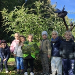 Het bos 🍁