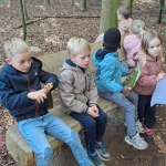Het bos 🍁