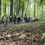 Het bos 🍁