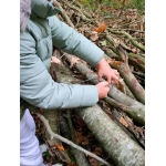 bosleerwandeling en park- en bosspelen