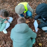 bosleerwandeling en park- en bosspelen