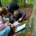 bosleerwandeling en park- en bosspelen