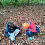bosleerwandeling en park- en bosspelen