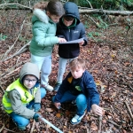 bosleerwandeling en park- en bosspelen